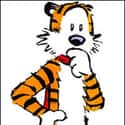 Hobbes on Random Greatest Tiger Characters