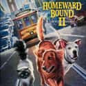Homeward Bound II: Lost in San Francisco on Random Greatest Animal Movies