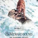Sally Field, Michael J. Fox, Frank Welker   Released: 1993 Homeward Bound: The Incredible Journey is a 1993 American remake of the 1963 film The Incredible Journey, which was based on the best-selling novel of the same name by Sheila Burnford.