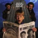Home Alone 2: Lost in New York on Random Best Movies for Kids