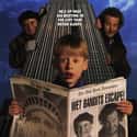 Home Alone 2: Lost in New York on Random Greatest Kids Movies of 1990s