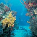 Honduras on Random Best Countries for Scuba Diving