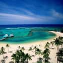 Honolulu on Random Best Beaches in the US