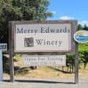 Merry Edwards Winery on Random Best Wineries in Sonoma Valley