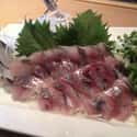 Horse mackerel on Random Best Fish for Sushi