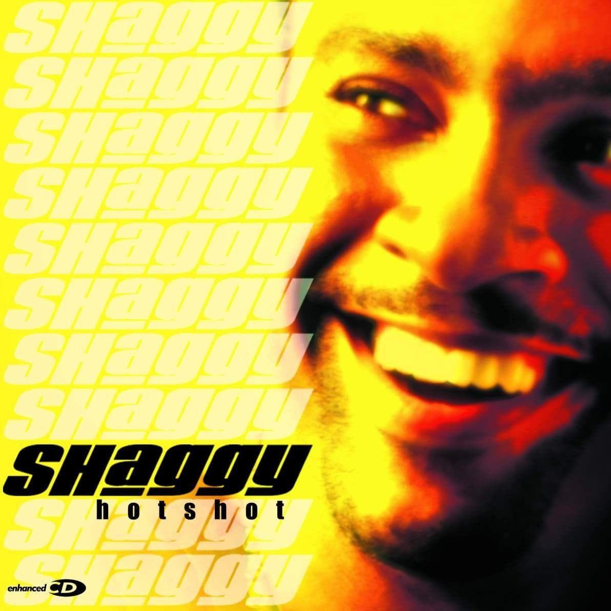 The Best Shaggy Albums, Ranked By Fans