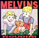 Houdini on Random Best Melvins Albums