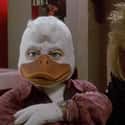 Howard the Duck on Random Movies No '80s Kid Is Actually Nostalgic About