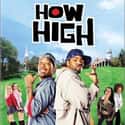 Jeffrey Jones, Tracy Morgan, Lark Voorhies   How High is a 2001 stoner film starring Method Man and Redman, written by Dustin Lee Abraham, and director Jesse Dylan's debut feature film.