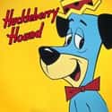 The Huckleberry Hound Show on Random Best 1960s Animated Series