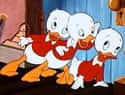 Huey, Dewey and Louie on Random Cutest Cartoon Ducks