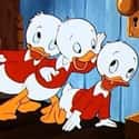 Huey, Dewey and Louie on Random Cutest Cartoon Ducks