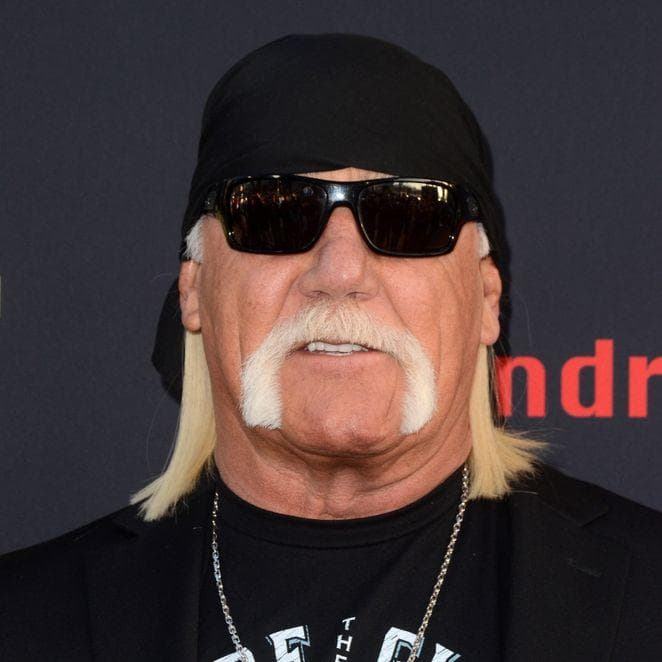 Hulk Hogan