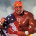 Hulk Hogan on Random Best Pro Wrestling Champions