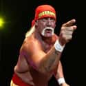 Hulk Hogan on Random Greatest WWE Superstars