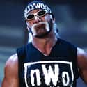 Hulk Hogan on Random Best WCW Wrestlers