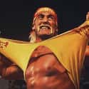 Hulk Hogan on Random Best WWE Superstars of '80s