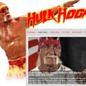 Hulk Hogan on Random Celebrities with Weirdest Websites