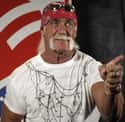 Hulk Hogan on Random Famous People Who Own Lamborghinis