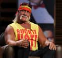 Hulk Hogan on Random Celebrities Have Been Caught Being More Than Just A Little Racist