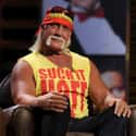Hulk Hogan on Random Best Members Of Wrestling's New World Ord