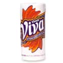 VIVA on Random Best Paper Towel Brands