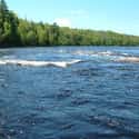 Flambeau River on Random Best American Rivers for Canoeing