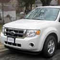 2009 Ford Escape on Random Best Ford Sport Utility Vehicles