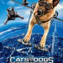 Cats & Dogs: The Revenge of Kitty Galore on Random Best Cat Movies