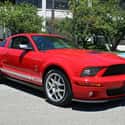 2007 Ford Shelby GT500 Convertible on Random Best Convertibles