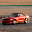 2009 Ford Shelby GT500 Convertible on Random Best Convertibles