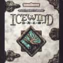 Isometric projection, Role-playing video game, Fantasy   Icewind Dale is a role-playing video game developed for Windows by Black Isle Studios and published by Interplay Entertainment.