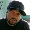 AmeriKKKa's Most Wanted, The Predator, Death Certificate   O'Shea Jackson, Sr., better known by his stage name Ice Cube, is an American rapper, record producer, actor, and filmmaker.