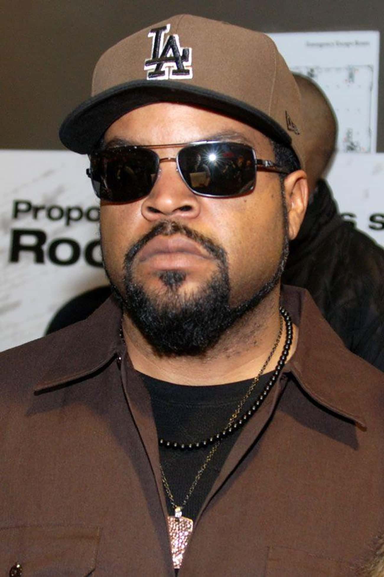 Ice Cube Has A Degree In Architecture
