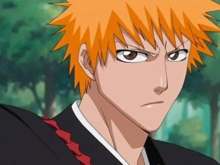 Bleach Characters List