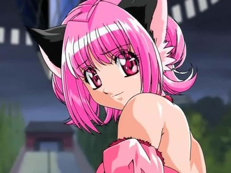 The 20+ Best Anime Catgirls Of All Time