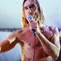 Iggy Pop on Random Greatest Male Pop Singers