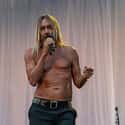 Iggy Pop on Random Most Outrageous Backstage Rider Requests