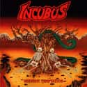 Nu metal, Rock music, Experimental rock   See: The Best Incubus Songs 