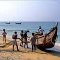 India on Random Best Countries for Fishing