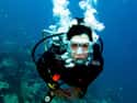 Indonesia on Random Best Countries for Scuba Diving