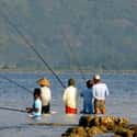 Indonesia on Random Best Countries for Fishing