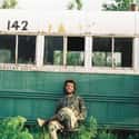 Into the Wild on Random Great Movies About Sad Loner Characters