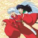 Inuyasha, also known as Inuyasha: A Feudal Fairy Tale, is a Japanese manga series written and illustrated by Rumiko Takahashi.