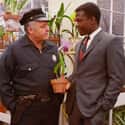 In the Heat of the Night on Random Best Black Movies