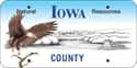 Iowa on Random State License Plate Designs