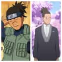 Iruka Umino on Random Naruto Characters Look In Boruto Compared To Their Original Form
