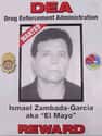 Ismael Zambada García on Random Most Brutal Mob Bosses In Recent History