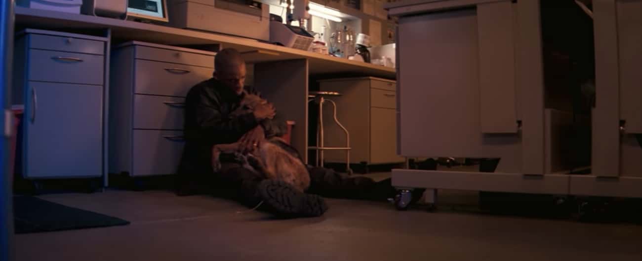 In ‘I Am Legend,’ Neville Has To Put His Dog Out Of Her Misery Before She's Fully Infected