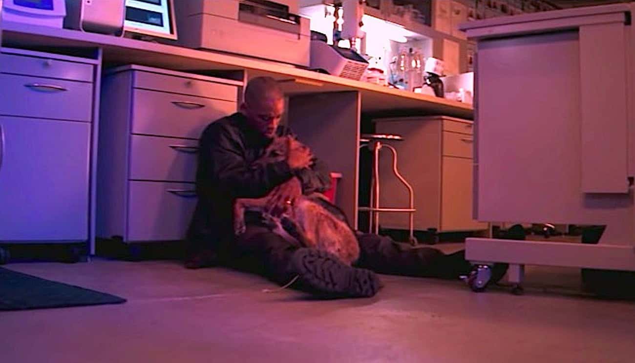 In ‘I Am Legend,’ Neville Has To Put Down His Dog After It Gets Infected